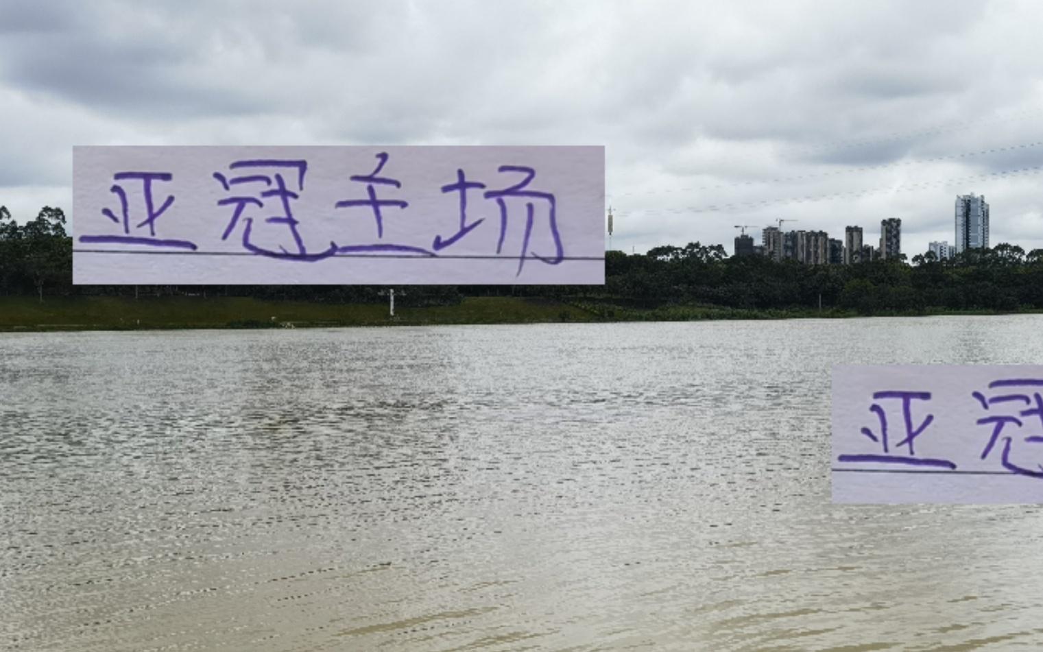 亞冠三個主場！成都球迷最多申花其次海港有點慘剛1萬1百多觀眾