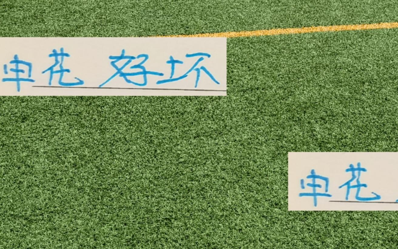 申花好消息！馬萊萊沒有來壞消息！蔣圣龍上不了場