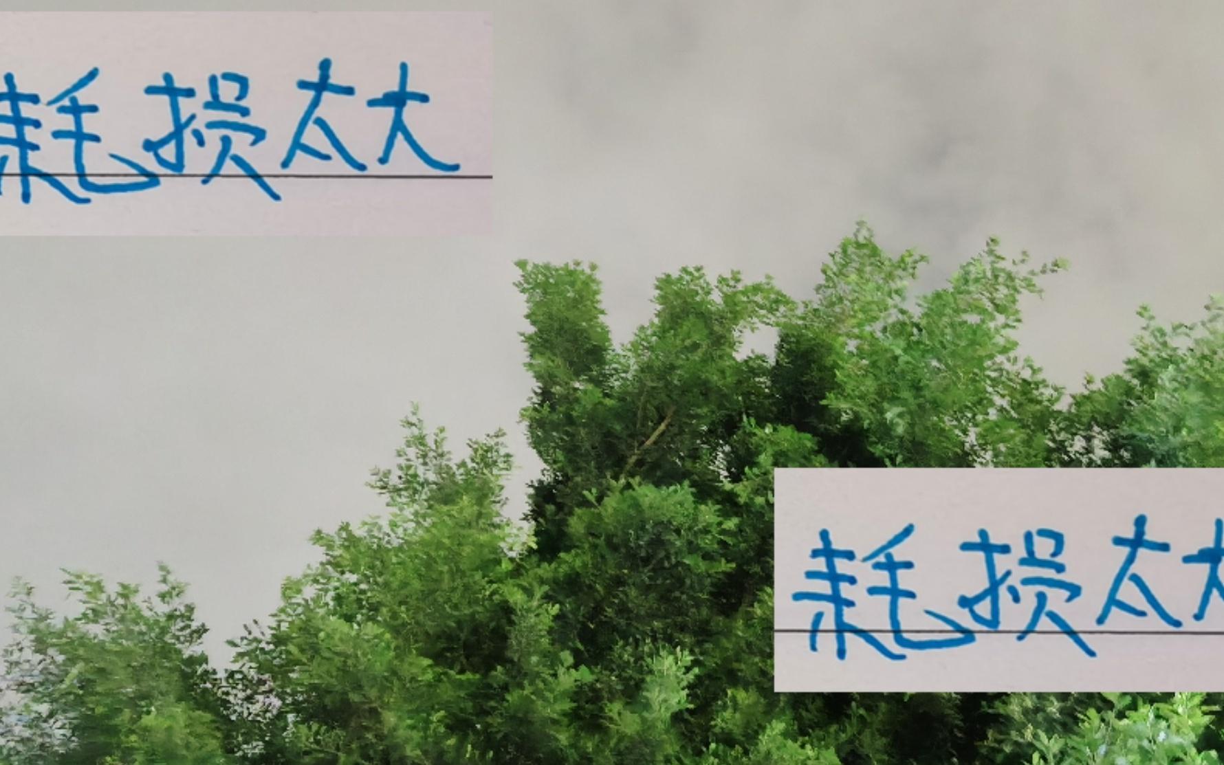 亞冠對(duì)馬納法+特謝拉耗損太大了！申花雙子神不靈球隊(duì)也不靈